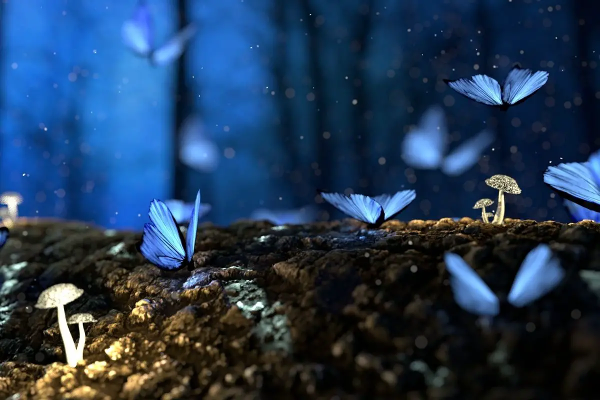 Butterfly: Spiritual Meaning, Symbolism & More