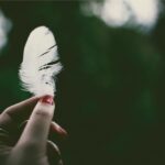 the spiritual meaning of feathers