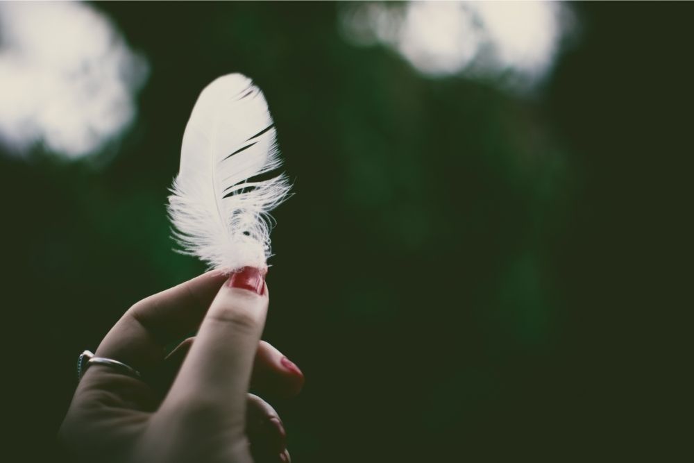 the spiritual meaning of feathers
