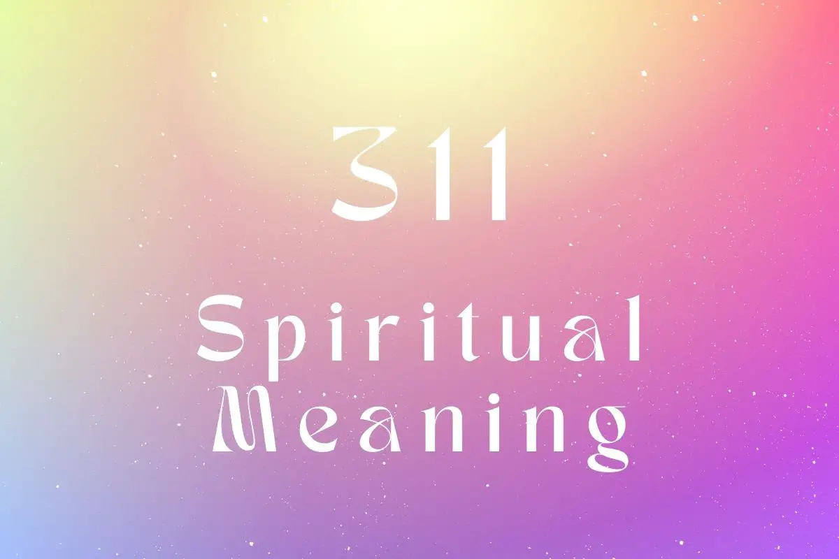 A Guide To Angel Number 311: Meaning and Messages