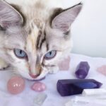 healing crystals for cats
