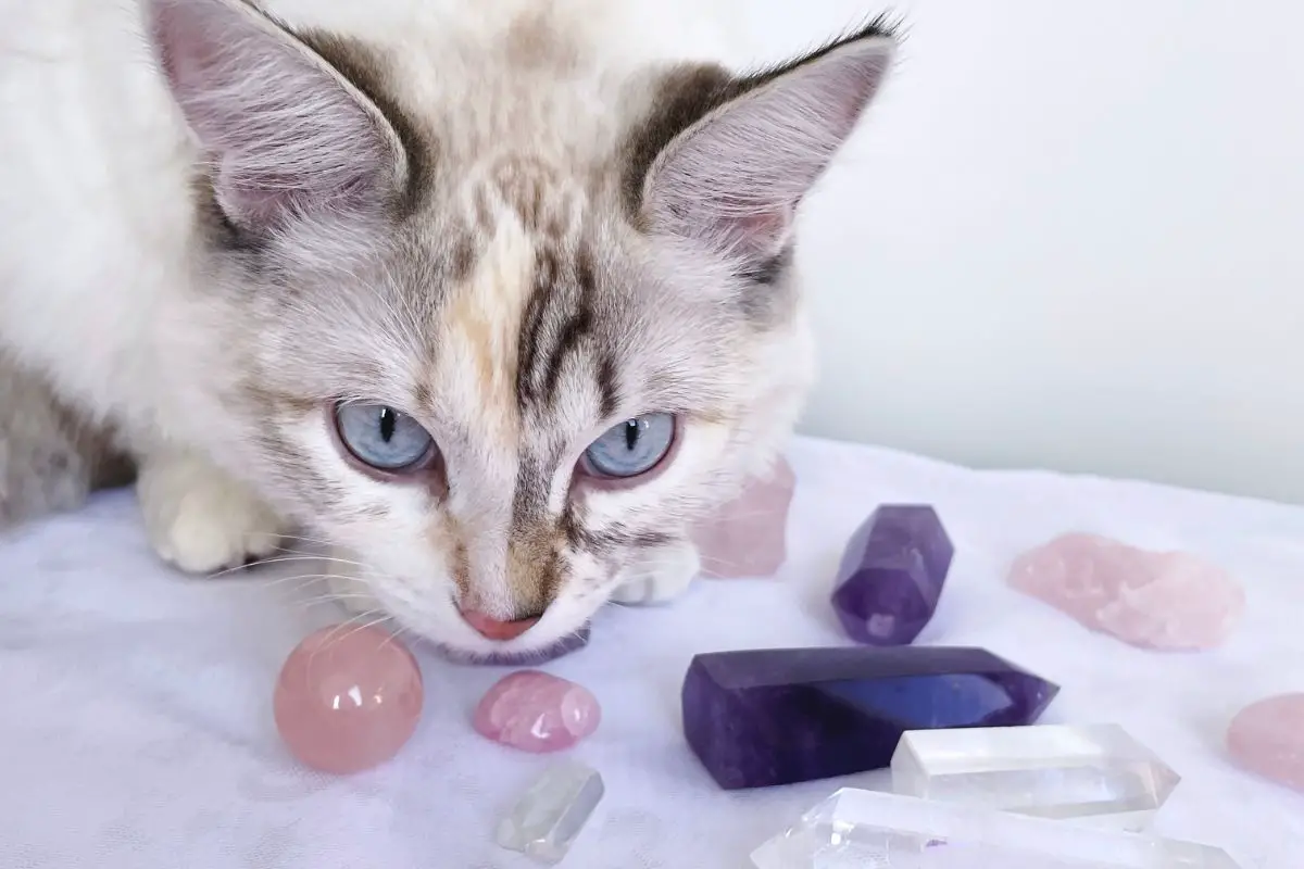 healing crystals for cats