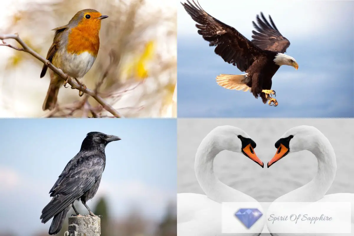 Bird Spirit Animals